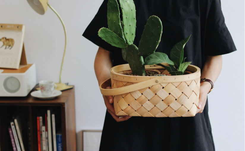 Comment déménager vos plantes ?